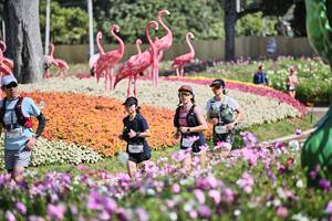 BIB: 
                            <button type="button" onclick="openModal(27793938)" class="btn btn-primary btn-sm float-right btn-popup" data-toggle="modal" data-target=".modal-high-quality">
                        <i class="fas fa-shopping-cart"></i> Add to Cart
                    </button>
                                            <button type="button" onclick="isThisMe(27793938, true)" class="btn btn-success btn-sm float-right btn-popup btn-isme hidden" data-toggle="tooltip" data-placement="bottom" title="นี่คือรูปของคุณใช่ไหม คลิกที่นี่เพื่อเอาเข้าอัลบั้ม">
                        <i class="fas fa-plus"></i> Add to album
                    </button>
                    <button type="button" onclick="isThisMe(27793938, false)" class="btn btn-warning btn-sm float-right btn-popup btn-isnotme hidden">
                        <i class="fas fa-ban"></i> Remove from album
                    </button>